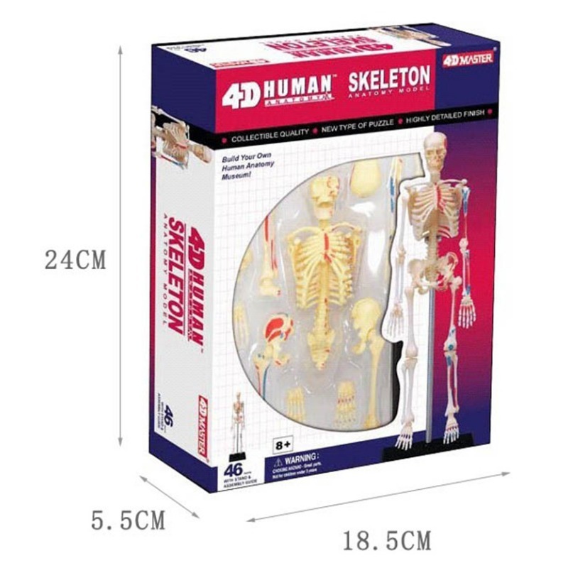 4d 인간의 전체 해골 해부학 모델 퍼즐 조립 장난감  - Medical Lab Assistant 리뷰 및 가격